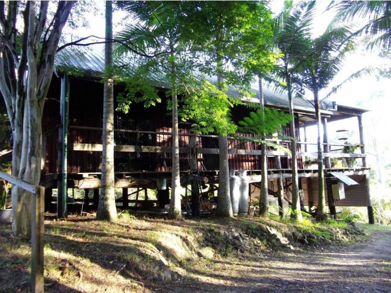656 Upper Crystal Creek Road, Murwillumbah NSW 2484