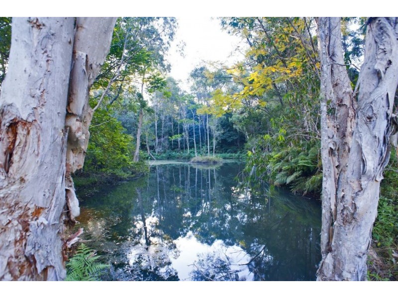 656 Upper Crystal Creek Road, Murwillumbah NSW 2484