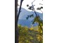 656 Upper Crystal Creek Road, Murwillumbah NSW 2484