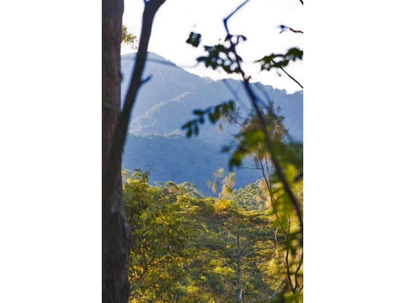 656 Upper Crystal Creek Road, Murwillumbah NSW 2484