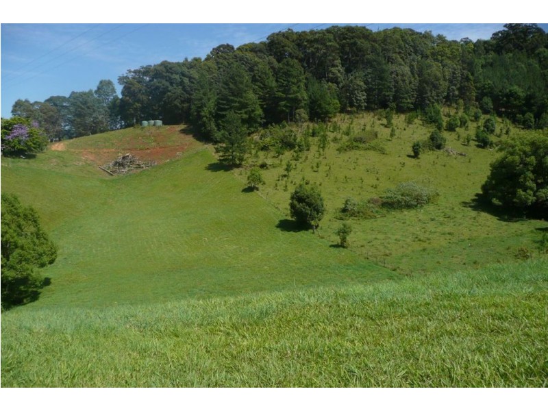 49 Blakeneys Road, Stokers Siding NSW 2484