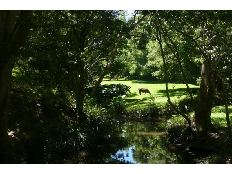 49 Blakeneys Road, Stokers Siding NSW 2484