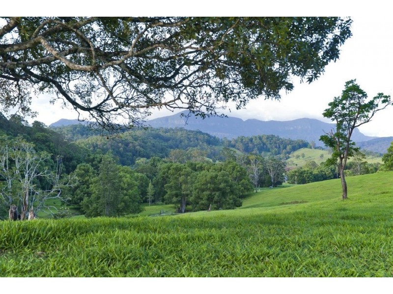 211 Zara Road, Chillingham NSW 2484
