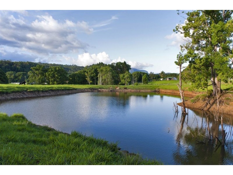 211 Zara Road, Chillingham NSW 2484