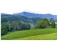 211 Zara Road, Chillingham NSW 2484