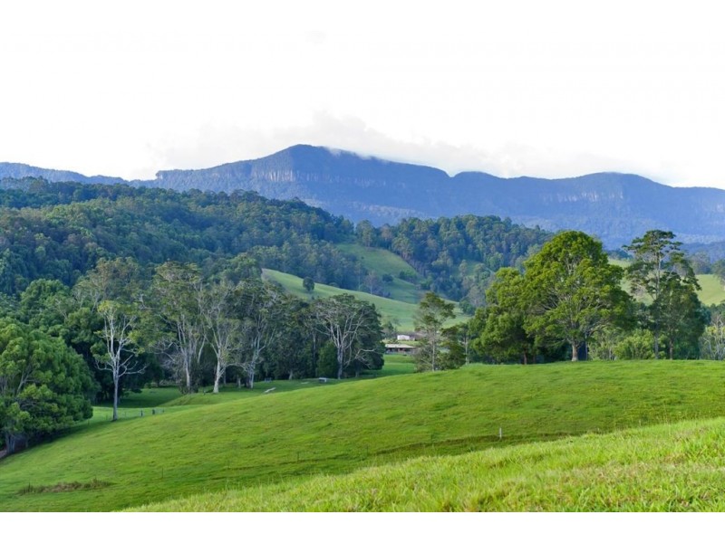 211 Zara Road, Chillingham NSW 2484