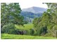 211 Zara Road, Chillingham NSW 2484