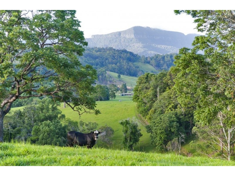 211 Zara Road, Chillingham NSW 2484