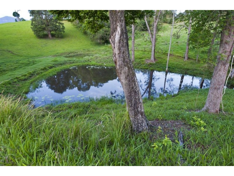 211 Zara Road, Chillingham NSW 2484