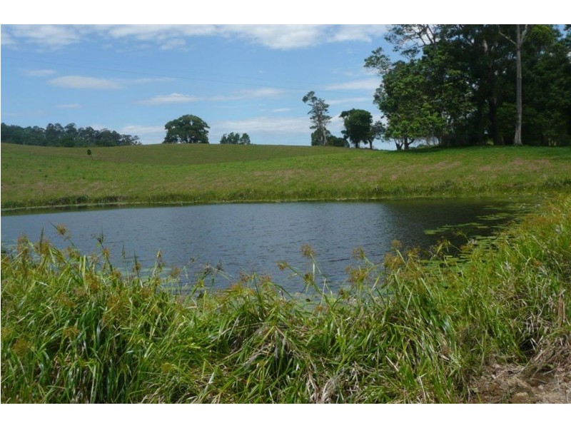 1207 Urliup Road, Murwillumbah NSW 2484