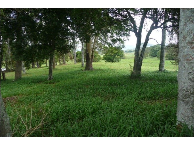 1207 Urliup Road, Murwillumbah NSW 2484