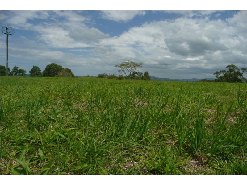 1207 Urliup Road, Murwillumbah NSW 2484