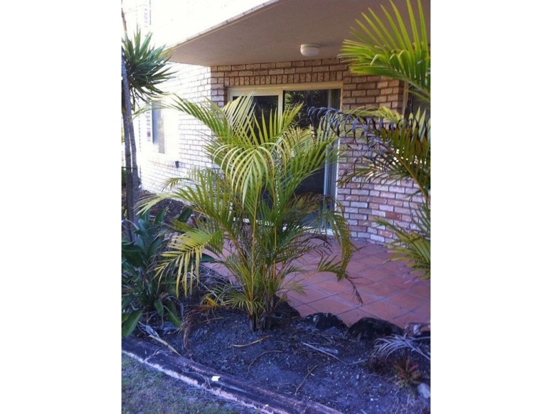 8/79-83 Tweed Coast Road, Cabarita Beach NSW 2488