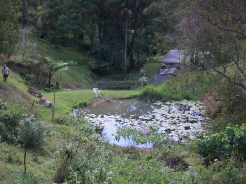 327 Nolans Road, Stokers Siding NSW 2484