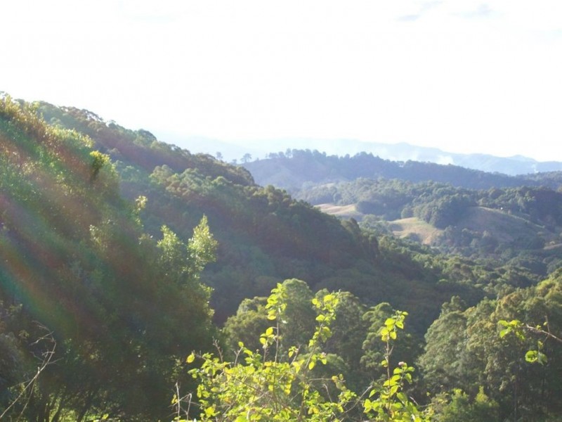 327 Nolans Road, Stokers Siding NSW 2484