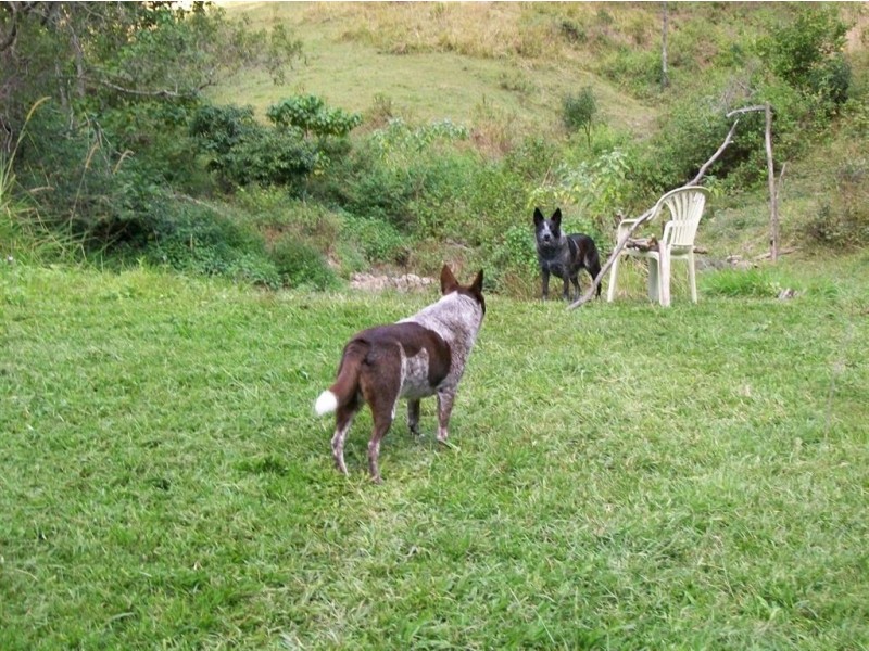 327 Nolans Road, Stokers Siding NSW 2484