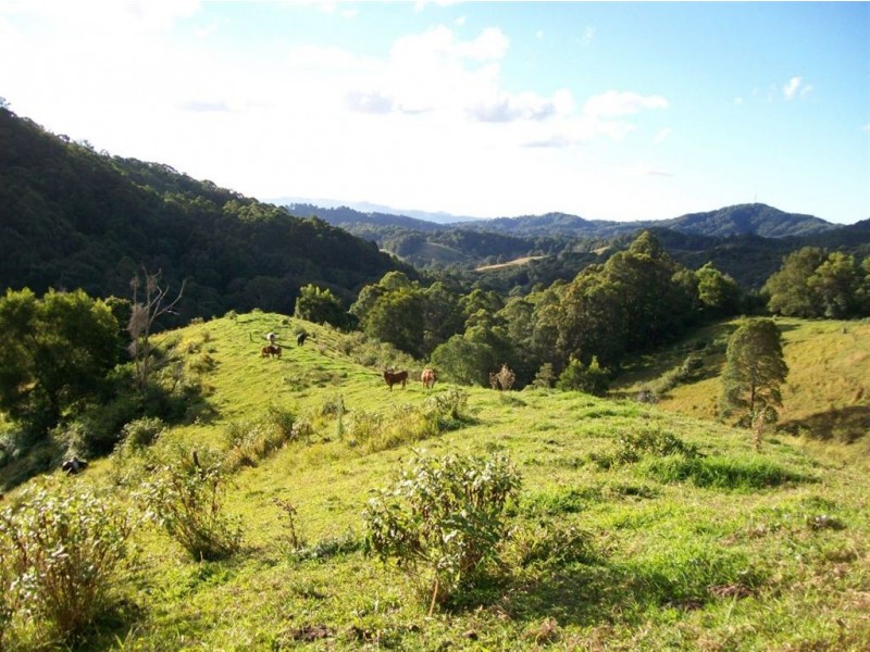 327 Nolans Road, Stokers Siding NSW 2484