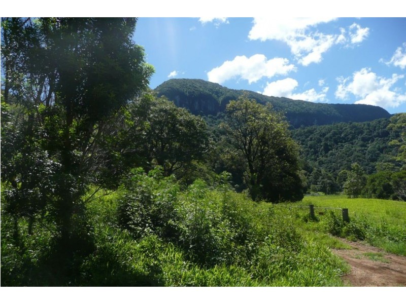 367 Settlement Road, Chillingham NSW 2484