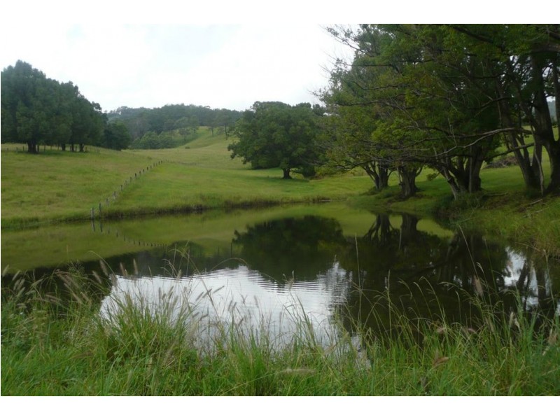 183 Zara Road, Chillingham NSW 2484