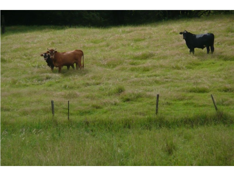 183 Zara Road, Chillingham NSW 2484