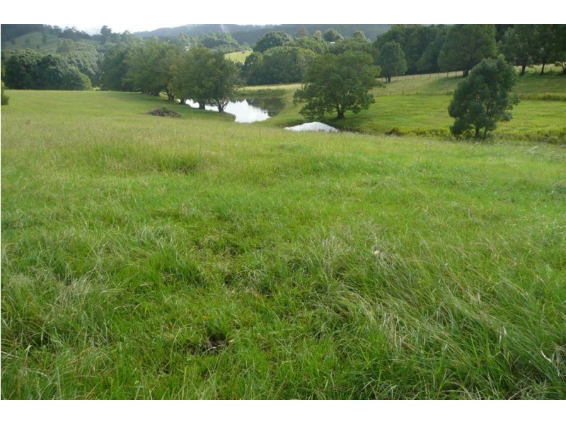 183 Zara Road, Chillingham NSW 2484