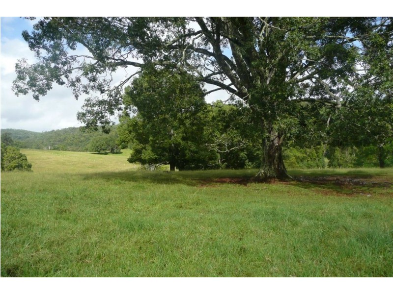 183 Zara Road, Chillingham NSW 2484