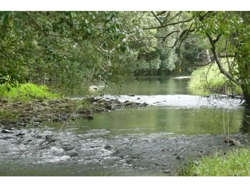 12 Brookers Road, Upper Crystal Creek NSW 2484