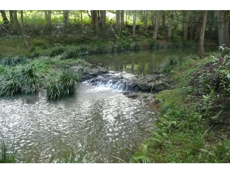 119 Smiths Creek Road, Uki NSW 2484