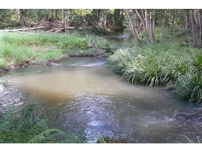 119 Smiths Creek Road, Uki NSW 2484