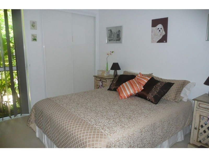 119 Smiths Creek Road, Uki NSW 2484