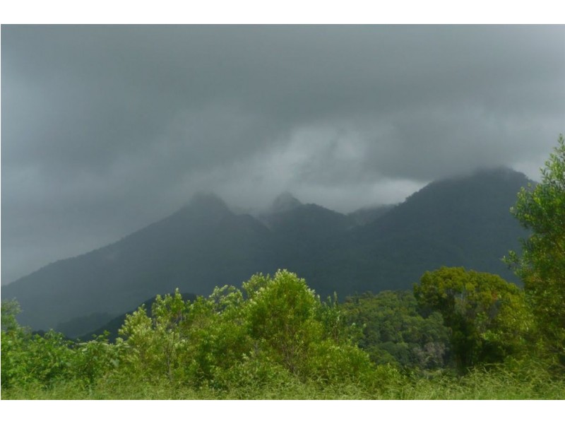 96 Bonnydoon Road, Uki NSW 2484