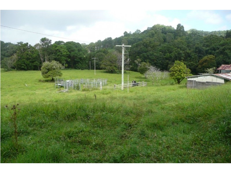 116 Crabbes Creek Road, Crabbes Creek NSW 2483