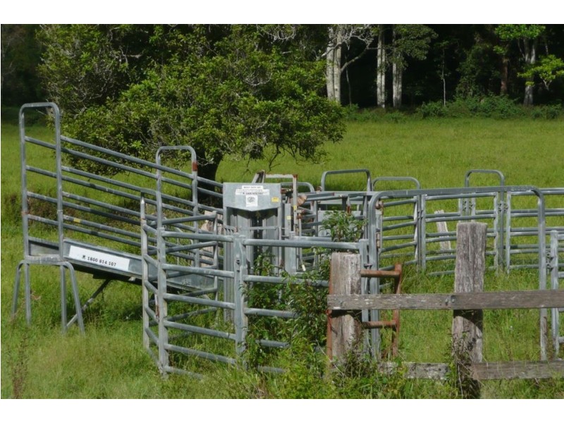 116 Crabbes Creek Road, Crabbes Creek NSW 2483