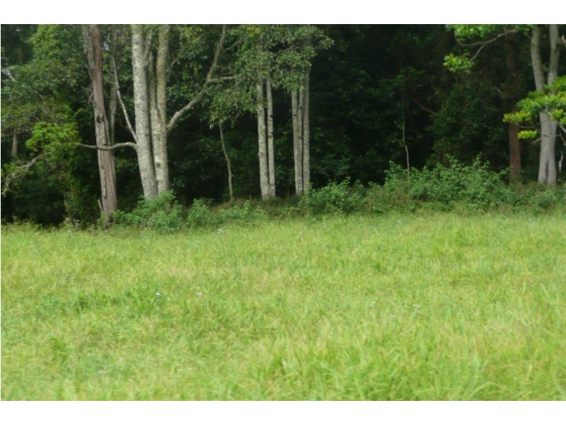 116 Crabbes Creek Road, Crabbes Creek NSW 2483