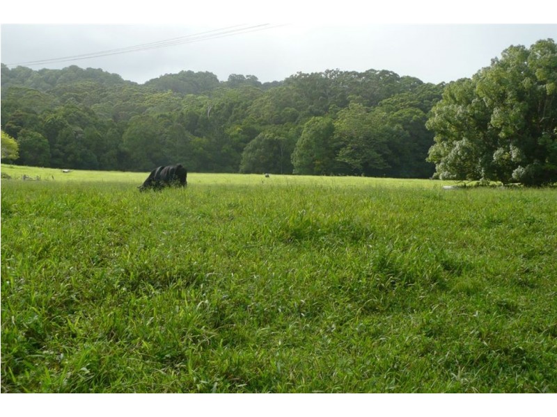 116 Crabbes Creek Road, Crabbes Creek NSW 2483