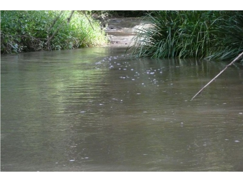 116 Crabbes Creek Road, Crabbes Creek NSW 2483