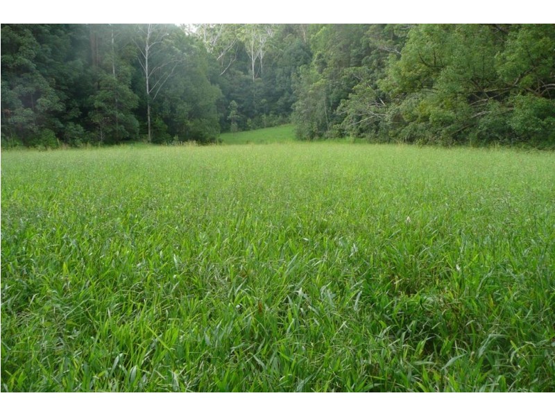 116 Crabbes Creek Road, Crabbes Creek NSW 2483