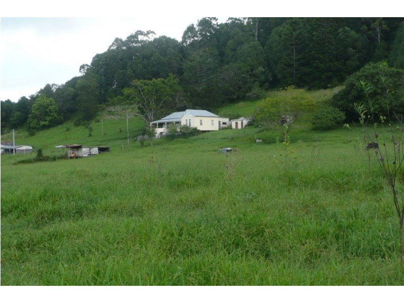 116 Crabbes Creek Road, Crabbes Creek NSW 2483