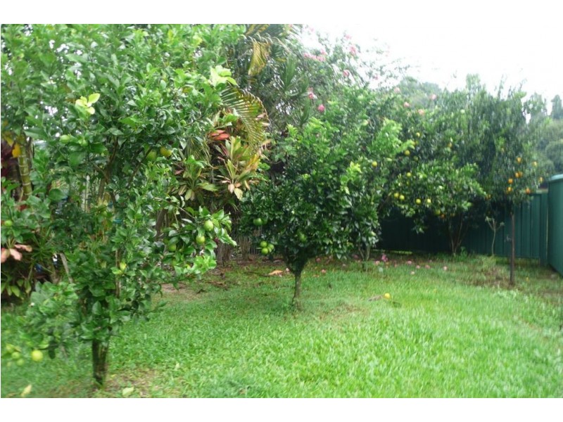 959 Smiths Creek Road, Stokers Siding NSW 2484