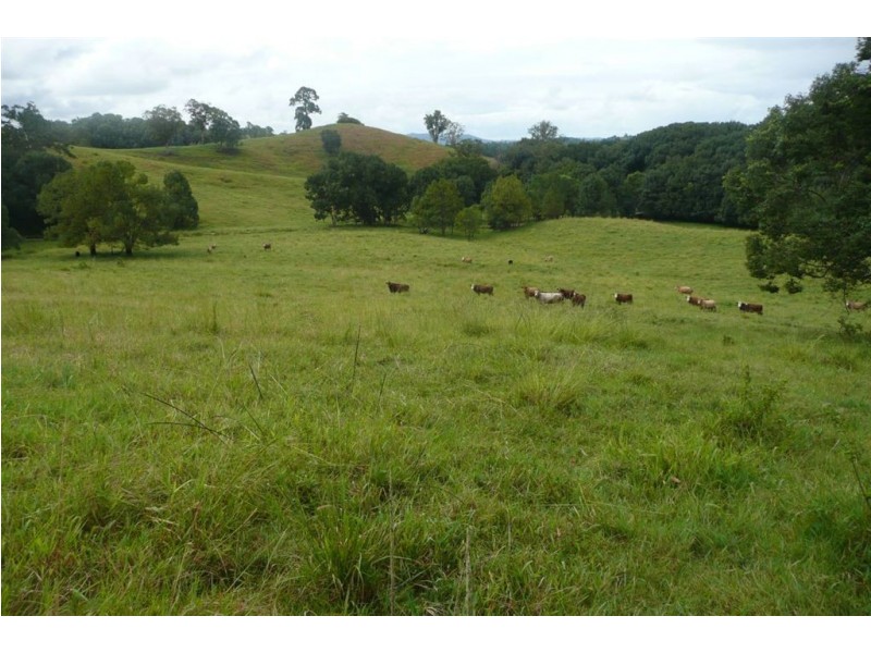 120 Kings Gully Road, Murwillumbah NSW 2484