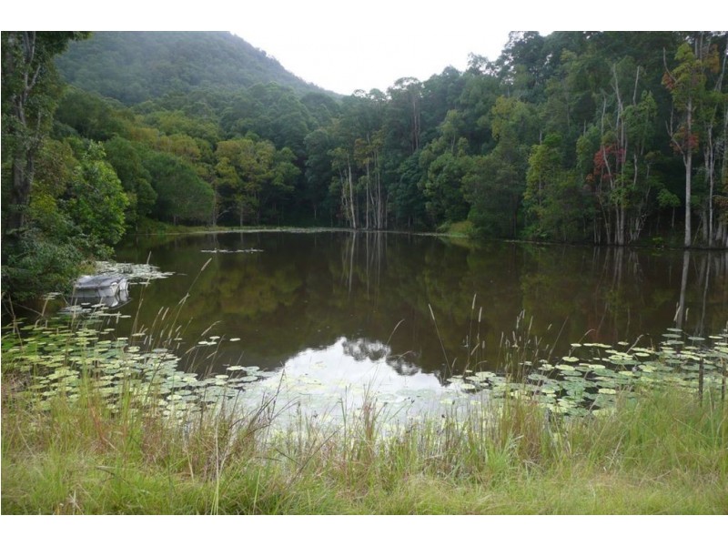 120 Kings Gully Road, Murwillumbah NSW 2484