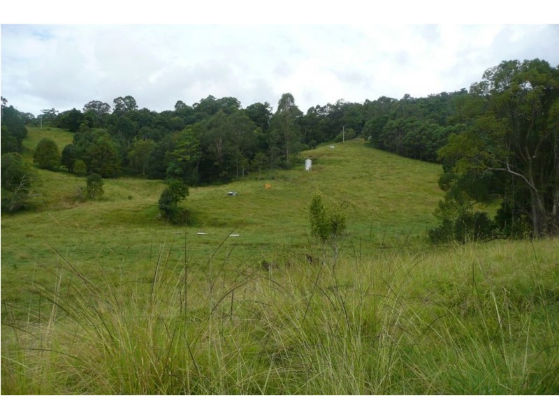 120 Kings Gully Road, Murwillumbah NSW 2484