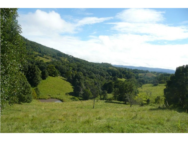 120 Kings Gully Road, Murwillumbah NSW 2484