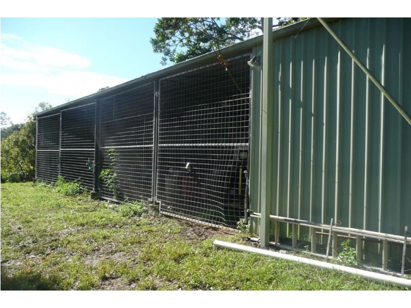 120 Kings Gully Road, Murwillumbah NSW 2484