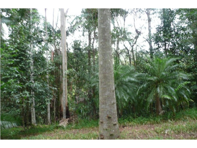 328 Couchy Creek Road, Chillingham NSW 2484