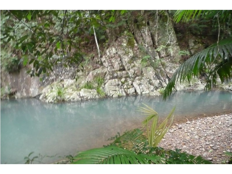 328 Couchy Creek Road, Chillingham NSW 2484