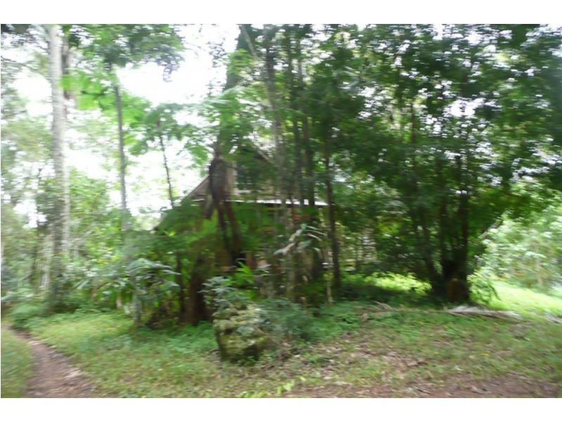 328 Couchy Creek Road, Chillingham NSW 2484