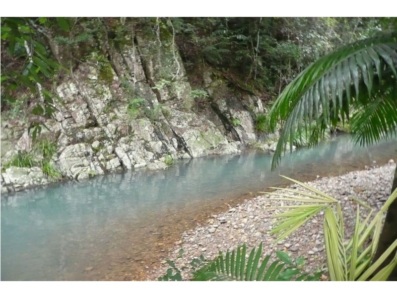 328 Couchy Creek Road, Chillingham NSW 2484