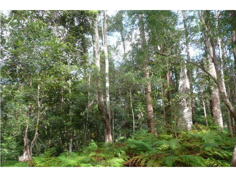 328 Couchy Creek Road, Chillingham NSW 2484