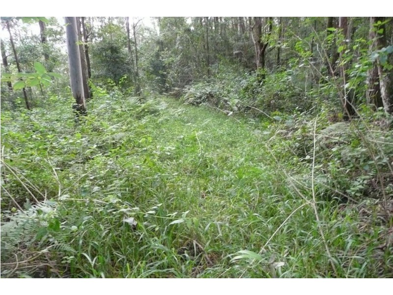 328 Couchy Creek Road, Chillingham NSW 2484